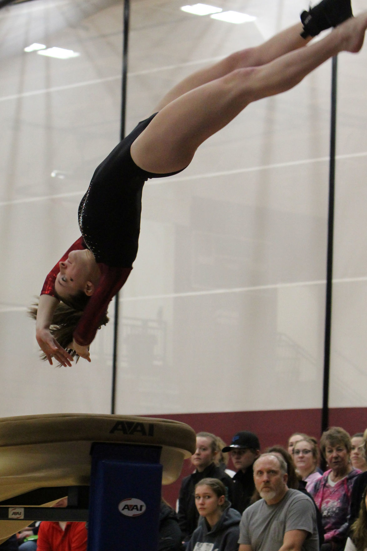 Big Rivers Conference Gymnastics Triangular at Menomonie 1-23-20